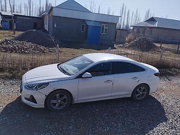 Hyundai: Hyundai Sonata: 2018 г., 2 л, Автомат, Бензин, Седан — 6