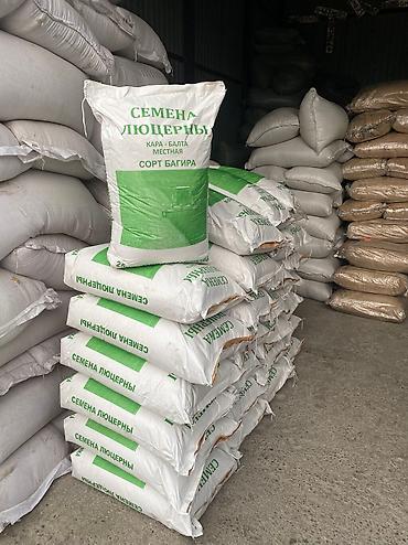 Кормовые растения: Семена кормовых растений: Эспарцет, Бесплатная доставка — 7