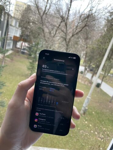 Apple iPhone: IPhone 13, 83 % — 3