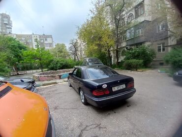 Mercedes-Benz: Mercedes-Benz : 1996 г., 3 л, Механика, Дизель, Седан
