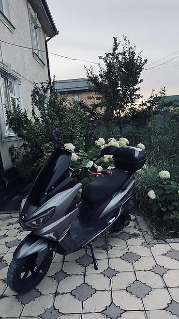нужно: 🔥 ПРОДАЁТСЯ МАКСИ-СКУТЕР 150 КУБ. СМ 🔥 💎 Практически новый! Состояние — 1