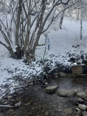 Landşaft işləri: Kupcalı 41 sot torpaq 20 sotda satilir — 11