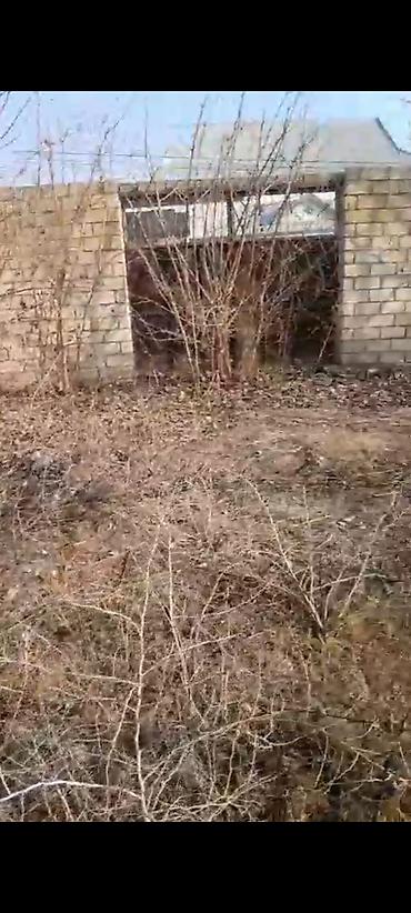 Torpaq sahələrinin satışı: 6 sot, Kupça (Çıxarış) — 10