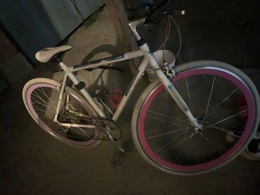 старые велосипеды: Шостсеин