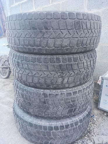 рекс морда: Комплект автомобильных шин Riesa 245/70 R16 107Q - Размер: 245/70 R16 — 3