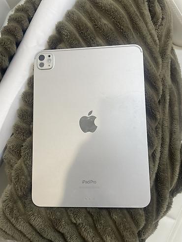 apple watch 5 series: Apple iPad Pro M4 256 - Серия iPad Pro с магнитным Smart Connector — 1