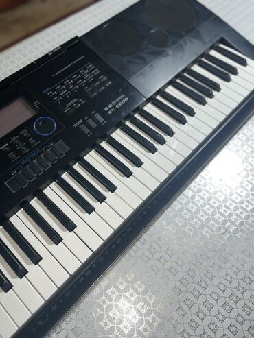 Sintezatorlar: Sintezator, Casio — 4