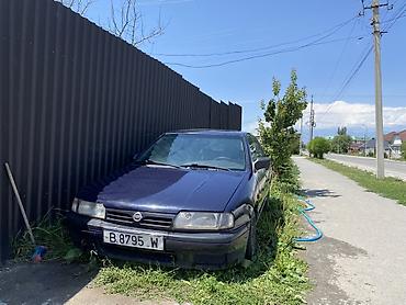 w211 e270: Nissan Primera: 1991 г., Седан — 2