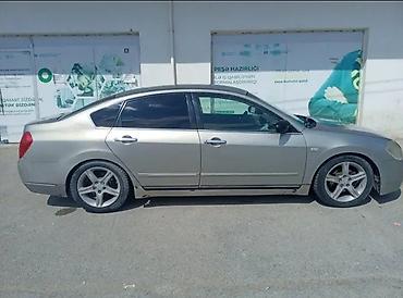 inci aku: Nissan Teana: 2.3 l | 2003 il Sedan — 2