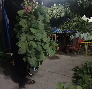 осы: Дубовые веники для бани/сауны. - Плотная «лопата» из тщательно — 2