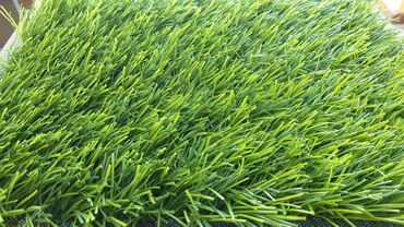 grass в Кыргызстан | АКСЕССУАРЫ ДЛЯ АВТО: Спортивная искусственная трава 50 мм dtex 12500 высококачественный
