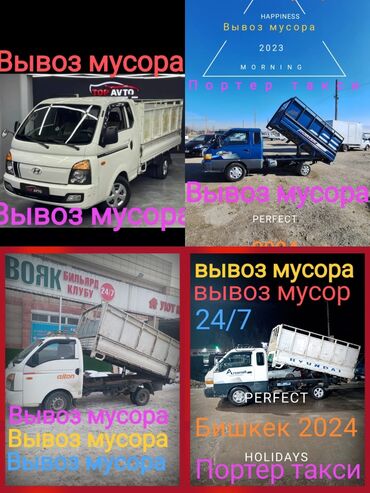 Другие животные: Портер такси портер такси портер такси Портер такси портер такси
