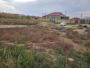 nzs de satilan evler: 6 sot, Mülkiyyətçi, Kupça (Çıxarış) — 3