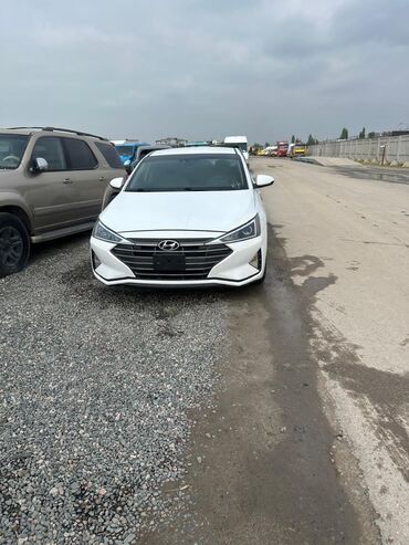 mashinu na arendu v taksi: Hyundai Elantra: 2020 г., 2 л, Автомат, Бензин, Седан
