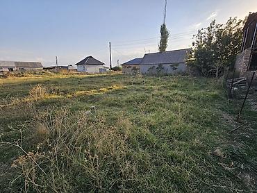 продается кашара: 8 соток, Для сельского хозяйства, Красная книга — 4