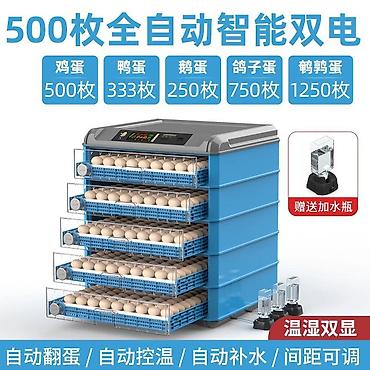 Инкубаторы: Инкубатор для яиц, полностью автоматический, «двойное питание» — 1
