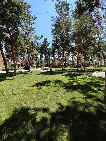 Иссык-Куль 2026: Коттедж, Л ЦО Лазурный берег, Чок-Тал, Детская площадка, Парковка, стоянка, Охраняемая территория — 8