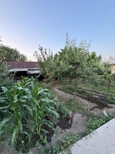 Продажа домов: Дом, 200 м², 11 комнат, Собственник, Косметический ремонт — 19