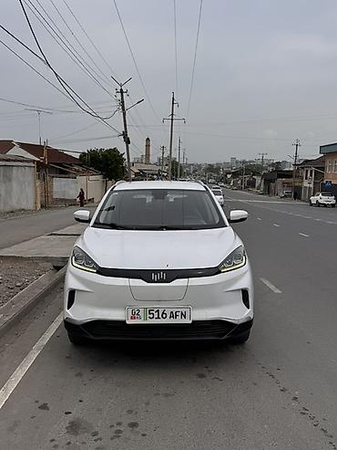 Weltmeister: Weltmeister EX5, 2020 г. — 2