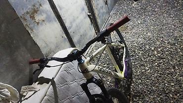 adidas velo: Salam tecili pul lazimdi deye satilir velon usdunde mt200 hasns kased — 5