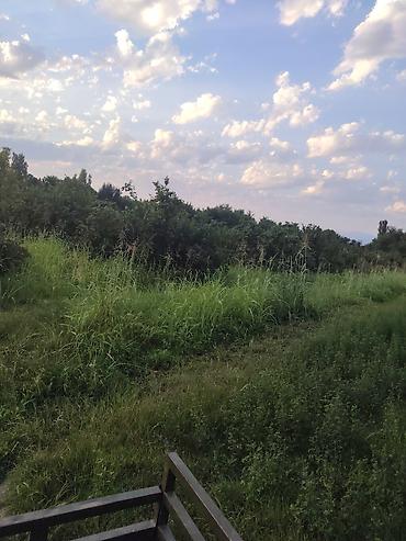 a frame ev satilir: Qax r-nu. Şotavar k. 25 hektar əkin sahəsi satılır. Onun 8.5 ha bar — 6