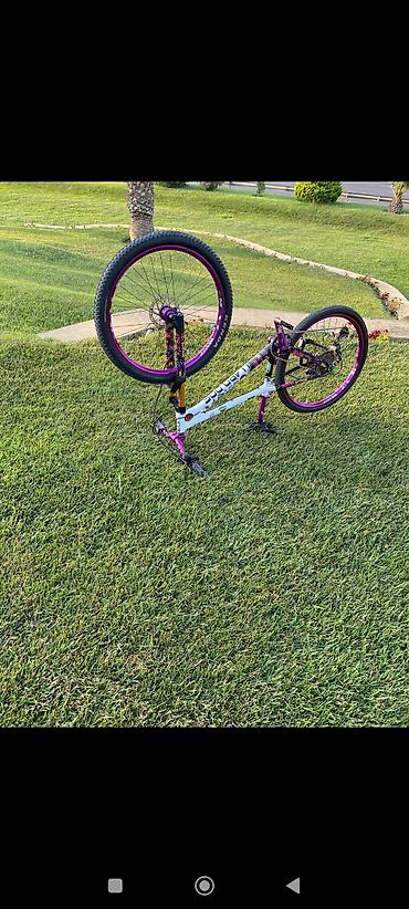 24 velosiped: Freeride/Trail velosipedi – fərqli dizaynlı xüsusi yığma - Çərçivə — 3