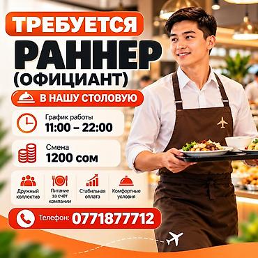 дан дан сокулук меню цены: Требуется Официант Без опыта, Оплата: Ежедневно — 1