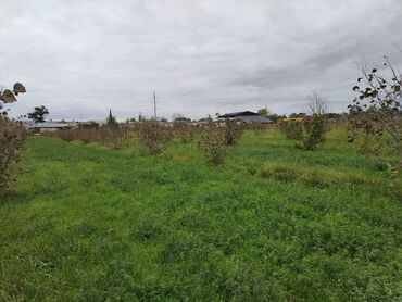 Torpaq sahələrinin satışı: 130 sot, Tikinti, Kupça (Çıxarış) — 20