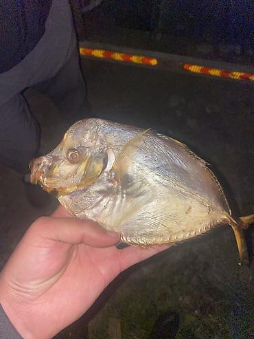 Сварка: Сварка | Трубы — 7