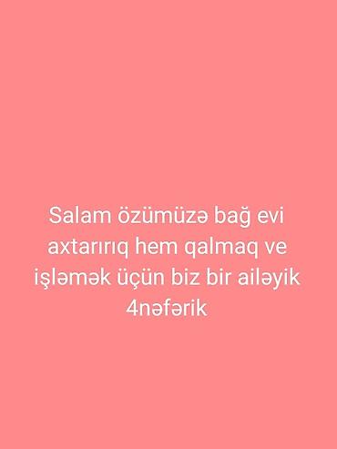 Ailə olaraq bağ evi axtarırıq. Məqsəd: həm qalmaq, həm də işləmək lalafo.az -da Ailə olaraq bağ evi axtarırıq. Məqsəd: həm qalmaq, həm də işləmək