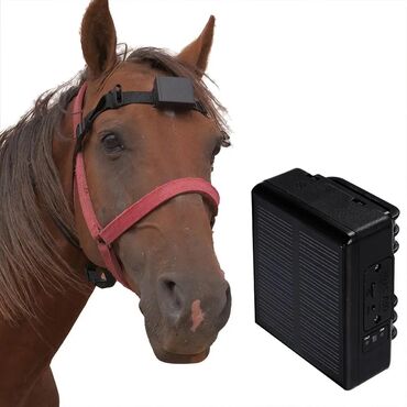 жпс трекер для животных: Gps tracker для лошади Трекер для лошади