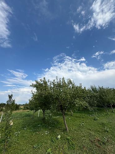6 соток, Для строительства, Красная книга
