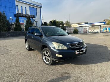 сполер камри: Lexus RX: 2003 г., 3 л, Автомат, Бензин, Кроссовер