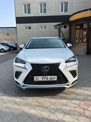 шины для нексии: Lexus NX: 2019 г., 2 л, Автомат, Бензин, Внедорожник
