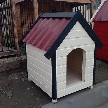 Yuvalar: Darvazabazari.az oz mehsullarin teqdim Edir Diqqetle Oxuyum Bu — 15