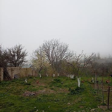 Torpaq sahələrinin satışı: Kənd təsərrüfatı — 19