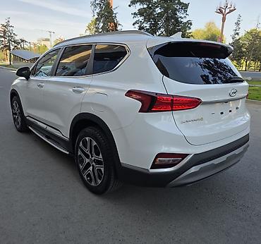 san: Hyundai Santa Fe: 2020 г., 2 л, Автомат, Дизель, Кроссовер — 8