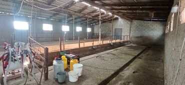 Продажа домов: Дом, 1000 м², 2 комнаты, Собственник, Старый ремонт — 4