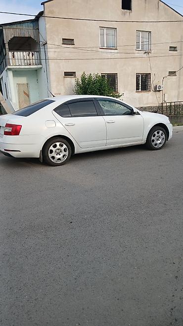 avs model 5: Skoda Octavia: 2016 г., 1.6 л, Автомат, Бензин, Лифтбек — 7