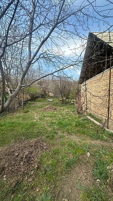 Продажа дач: 🌿 Продаётся уютная дача в Панораме (С/Т «Приборист») 📐 Участок: 5 — 4