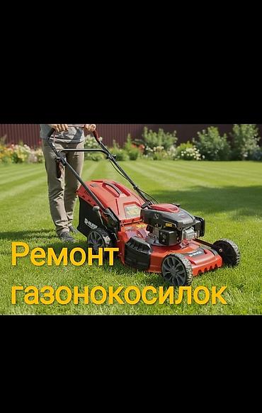 hp 2055dn printer: Ремонт бензиновых и электрических газонокосилок — 1