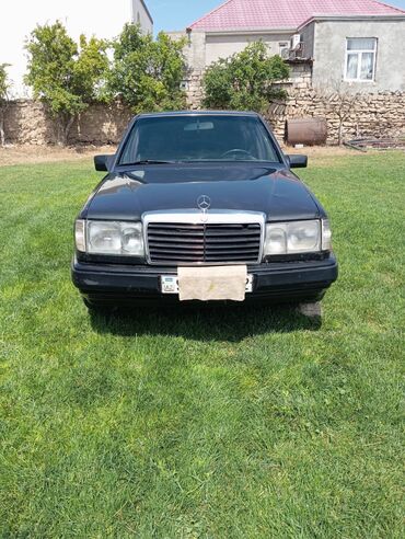 Mercedes-Benz: Mercedes-Benz 250: 2.5 l | 1991 il Van body type — 5