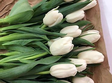 Букеты из живых цветов: Тюльпаны оптом ! — 8