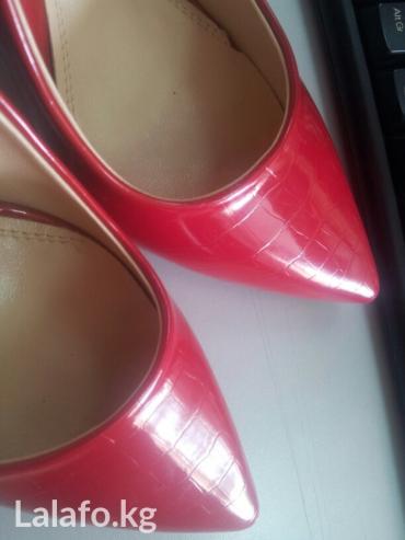 мужские зимняя обувь: Туфли цвет - Красный