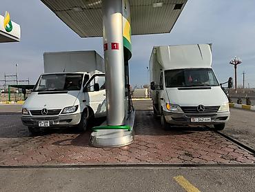 w210 e320: Заказать Мерседес грузовой спринтер, Перевозка скота, C грузчиком — 3