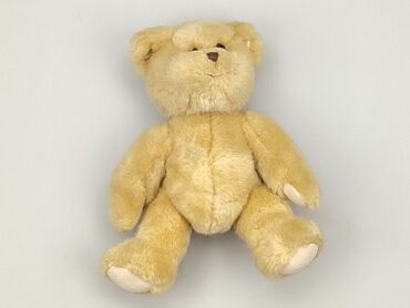 troskliwe misie koszulka: Mascot Teddy bear, condition - Very good