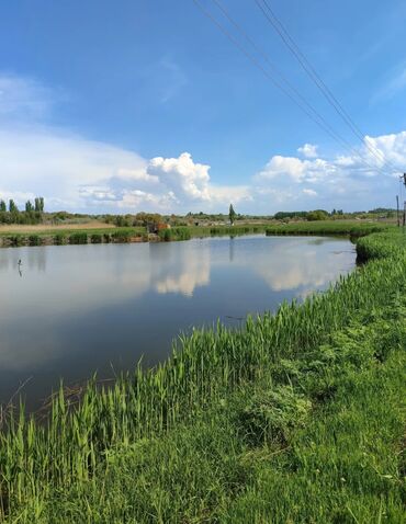 Продажа участков: 600 соток, Для бизнеса, Красная книга — 15