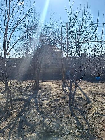 Torpaq sahələrinin satışı: Kənd təsərrüfatı — 3