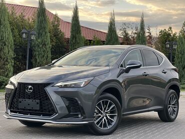 лексус lexus: Lexus NX: 2022 г., 2.5 л, Автомат, Бензин, Кроссовер