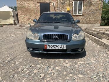 крылья на прицеп грузовой: Hyundai Sonata: 2004 г., 2 л, Механика, Бензин